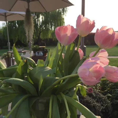 Relais Corte Mastella Bed and Breakfast